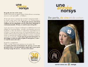 Norsys Rapport 24 Complet Web 3