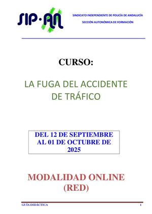 LA FUGA DEL ACCIDENTE DE TRÁFICO