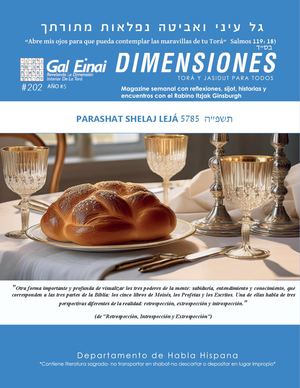 Dimensiones Parashat Shelaj Leja Edición 202
