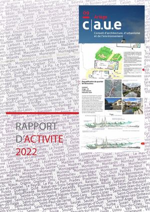 Rapport Activite 2022