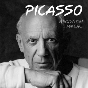 книгаПИКАССО ФИНАЛ2