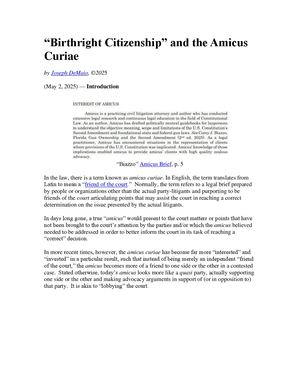'Birthright Citizenship' and The Amicus Curiae
