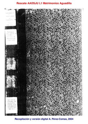 Transcripcion 1er Libro Matrimonios Aguadilla 1780