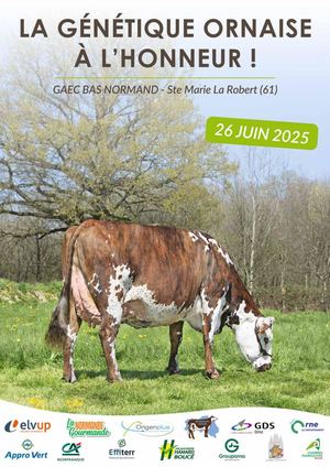 Catalogue Vente Normande Ornaise 2025 Web2