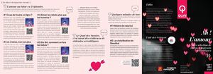 Flyer Playlist Vidéo - Amour
