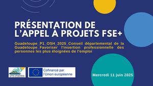 Présentation de l'AAP FSE+