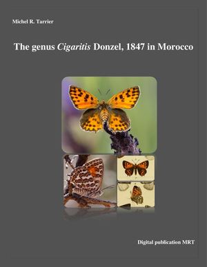 The genus Cigaritis Donzel, 1847 in Morocco by M.R. Tarrier