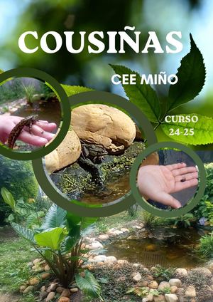 Revista Cousiñas 2025