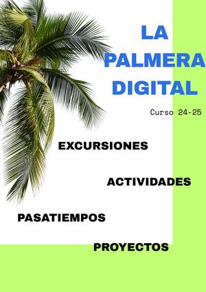 Palmera Digital 25