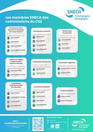 CACB - Commissions CSE Des élus 2025