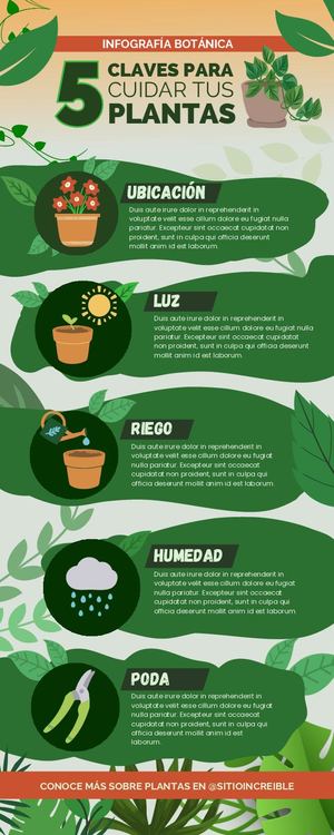 Infografía Claves Para Cuidado De Plantas Didáctico Verde