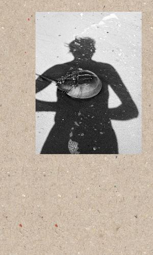 СТАНОВЛЕНИЕ ВИВИАН МАЙЕР