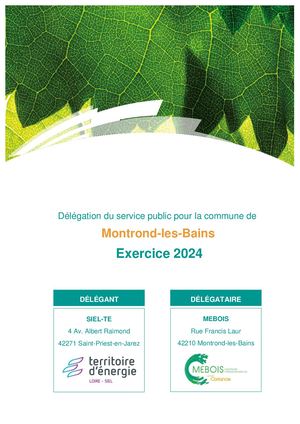 2024 Rapport au déléguant MEBOIS