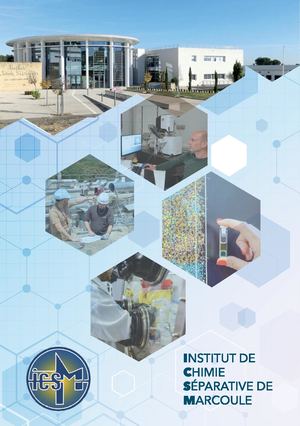 ICSM - SCIENTIFIC REPORT - 2021/2024