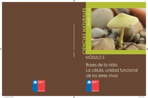 Celula Unidad Funcional De Los Seres Vivos