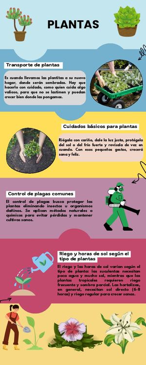 Infografia Sobre El Cuidado De Las Plantas (Andres Alexander Quispe Rodriguez)