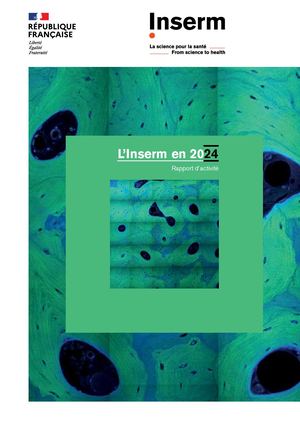 Rapport d'activité 2024