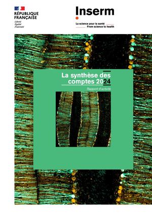 Synthèse des comptes annuels 2024