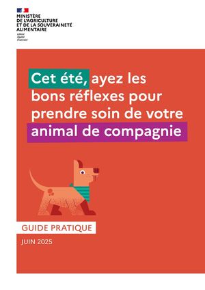 Guide du soin des animaux l'été
