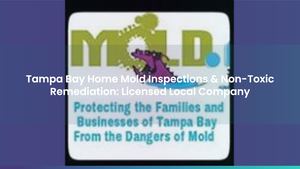 Tampa Bay Home Mold Inspections & Non-Toxic Remediation: Licensed Local Company