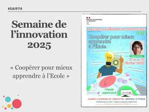 Livret de Synthèse de la SAI de la Réunion 2025