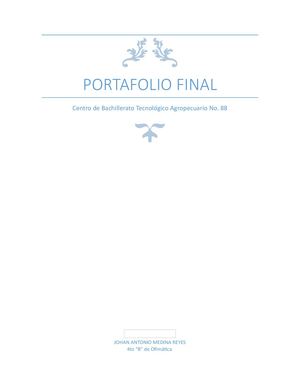 Portafolio Final Johan