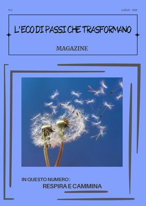L' ECO DI PASSI CHE TRASFORMANO N 3