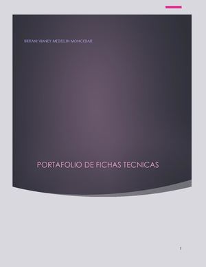 Portafolio De Fichas Tecnicas