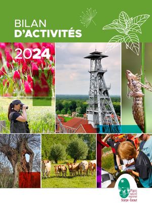 Bilan Activités 2024