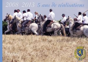 Calameo Bulletin Spécial Juin 2008 2013