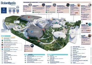 Plan programme Océanopolis été 2025