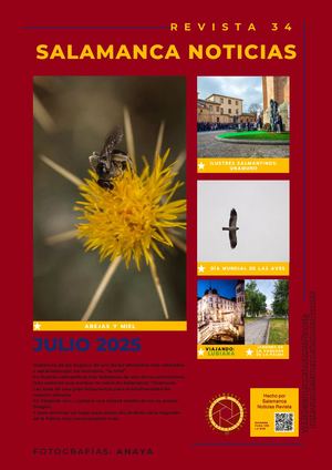 2025 Nº034 Julio Salamanca Noticias Comprimido Numerado