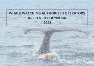 Liste Des Professionnels Habilités à L'observation Des Baleines à Bosse (2024)