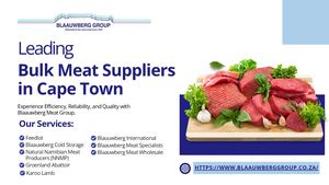 Blaauwberg Group - \Presentation (July 2025)