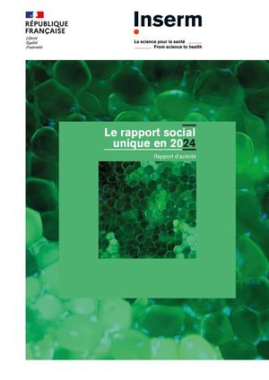 Rapport Social Unique 2024