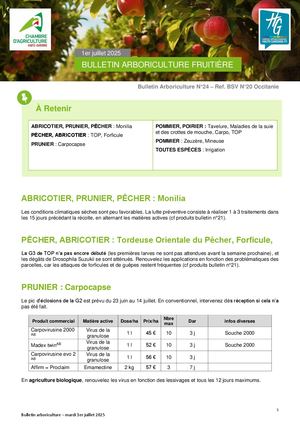 Bulletin Arbo n°24 du 1er Juillet 2025