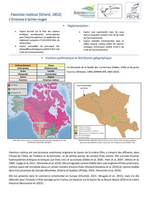 Fiche biologique de l'espèce - Écrevisse à taches rouges - Faxonius rusticus