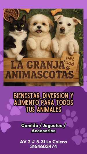 Portafolio Compressed