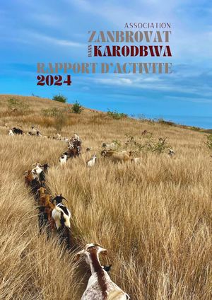 Rapport D'activité Et Bilan Financier Zdk 2024