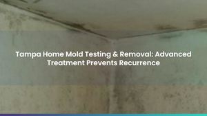 Tampa Home Mold Testing & Removal: Advanced Treatment Prevents Recurrence