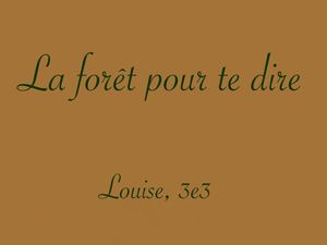 La Forêt Pour Te Dire