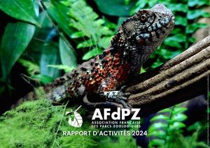 Rapport d’activités AFdPZ 2024
