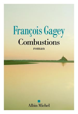 Extrait Francois Gagey Combustions