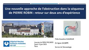 Séminaire MICADO | Pres TPP Pierre Robin