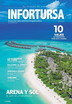 REVISTA INFORTURSA Nº 317