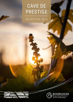 Cave de Prestige 2025 BIVB Livret HD