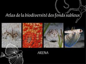 Atlas Biodiversité Fonds Sableux - ARENA