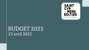 Presentation Budgets 2025