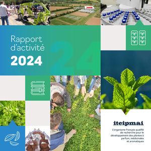 Rapport d'activités 2024