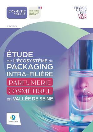 Cosmetic Valley 36pages A4 03